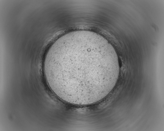 X0000112780306200909101618