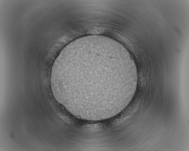 X0000112780307200909101618