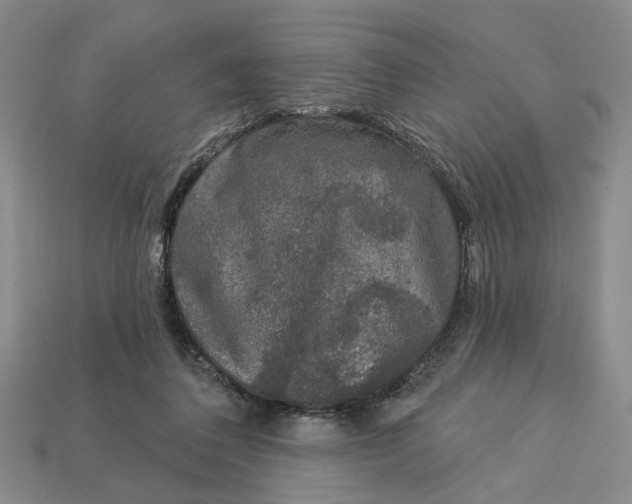 X0000112780308200909101618