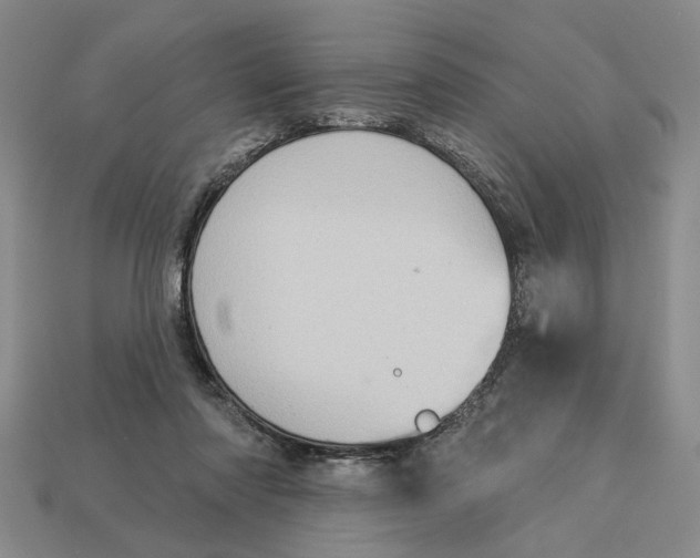 X0000112780310200909101618