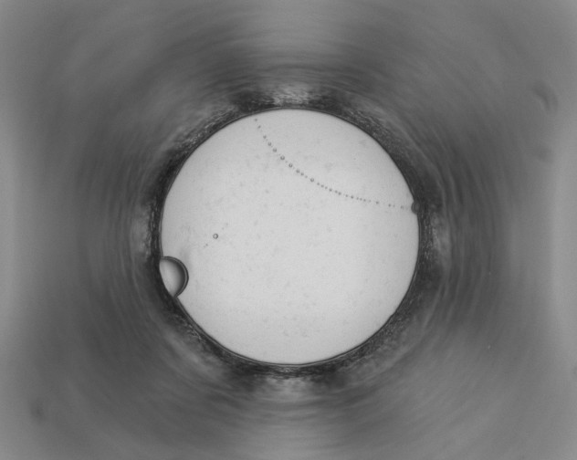 X0000112780311200909101618