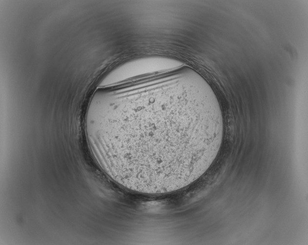 X0000112780312200909101618