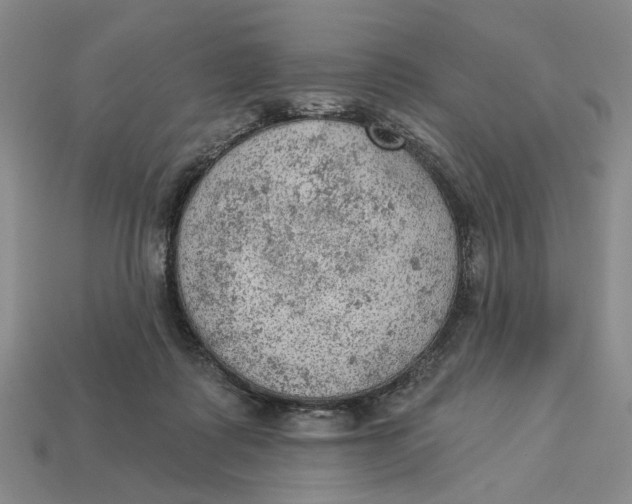 X0000112780315200909101618