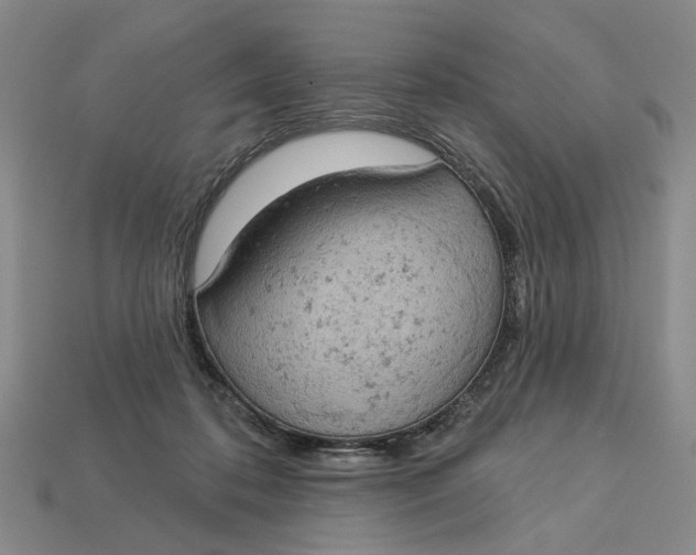 X0000112780316200909101618