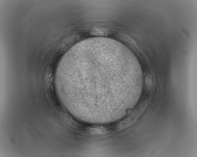 X0000112780322200909101618