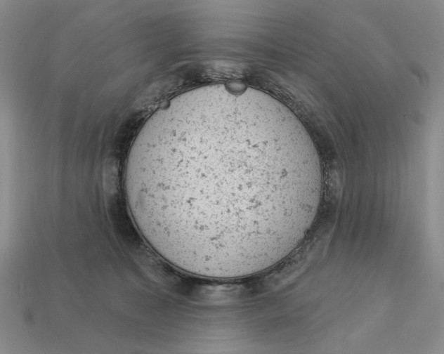 X0000112780323200909101618