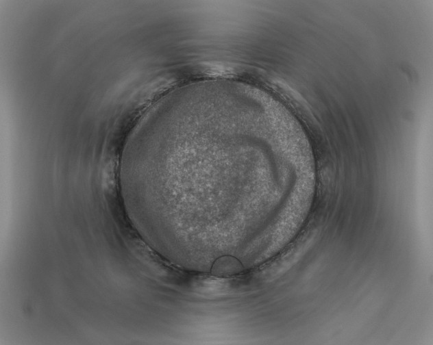 X0000112780325200909101618