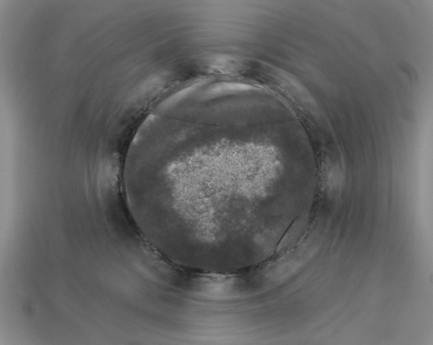 X0000112780328200909101617