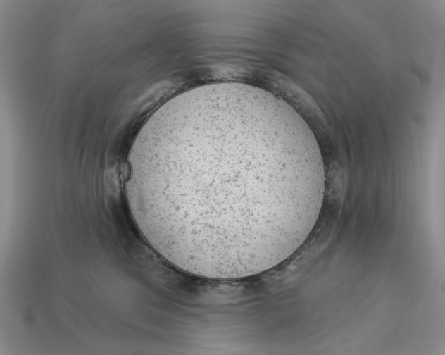 X0000112780329200909101617