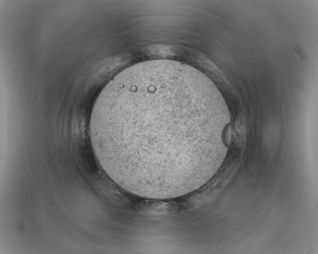 X0000112780330200909101617