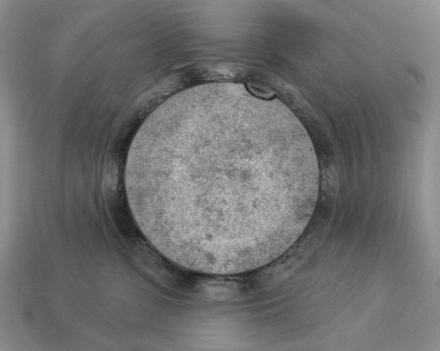 X0000112780331200909101617