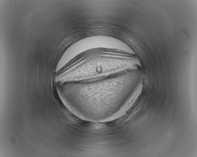 X0000112780333200909101617