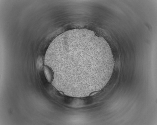 X0000112780335200909101617