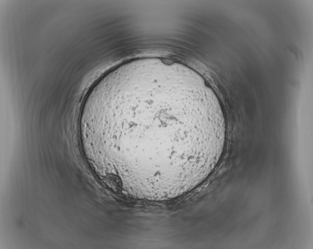 X0000112780337200909101617