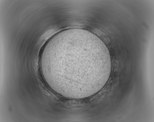 X0000112780338200909101617