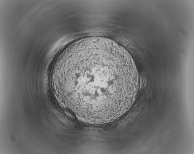 X0000112780339200909101617