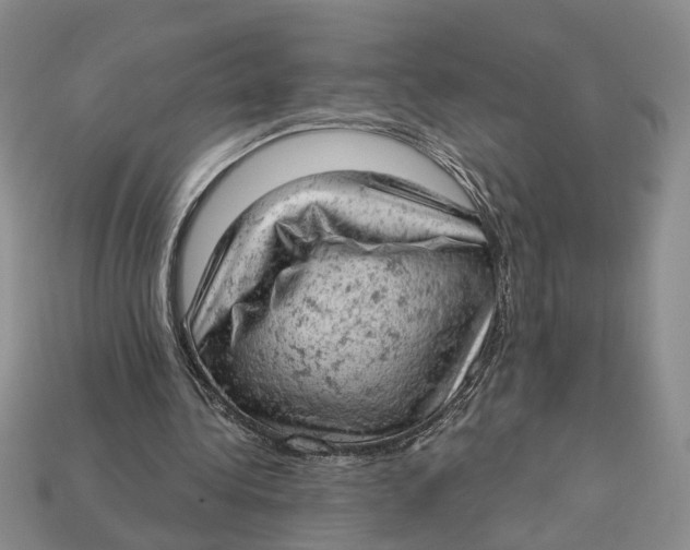 X0000112780340200909101617