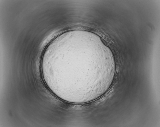 X0000112780341200909101617