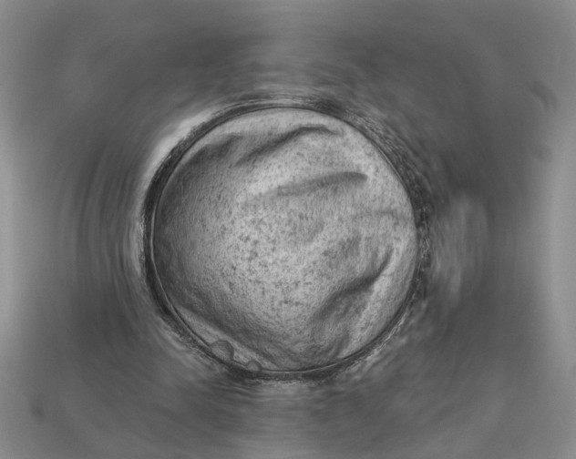 X0000112780342200909101617