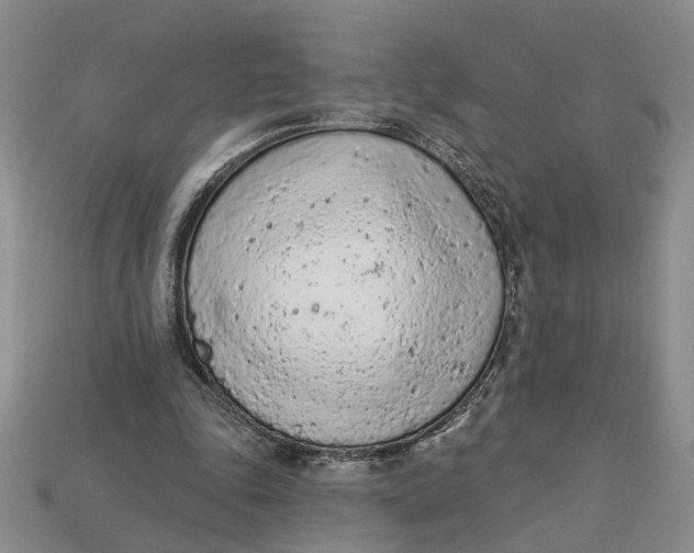 X0000112780343200909101617