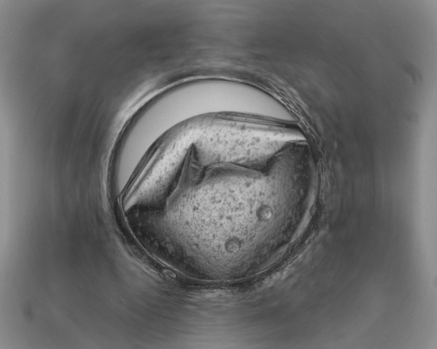 X0000112780344200909101617