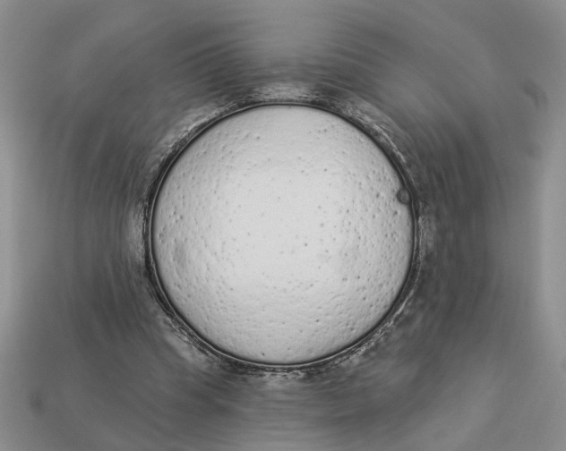 X0000112780345200909101617