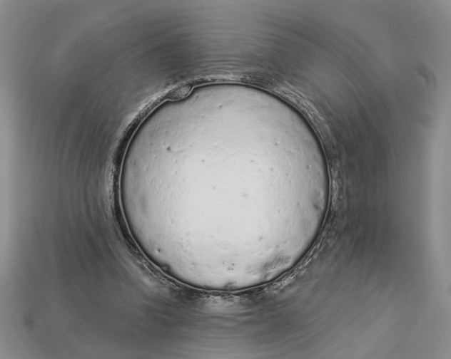 X0000112780346200909101617