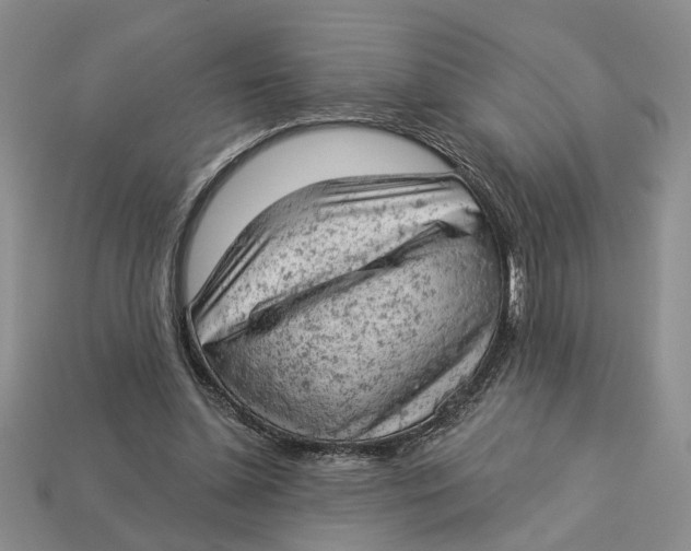 X0000112780348200909101617