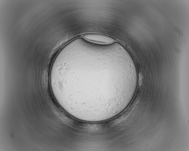 X0000112780349200909101617