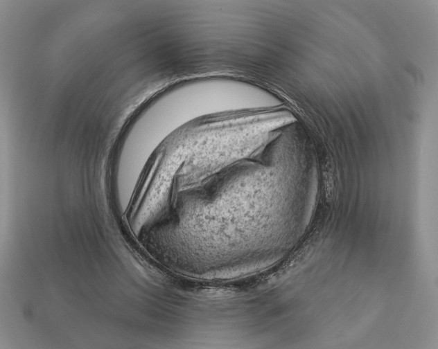 X0000112780350200909101617