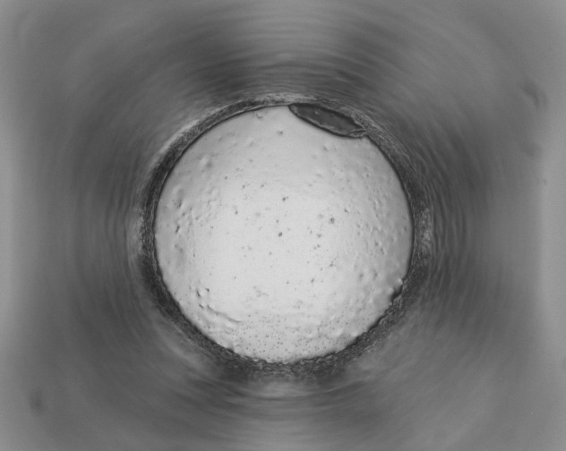 X0000112780351200909101617