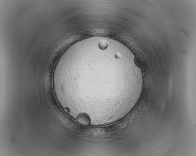 X0000112780353200909101617