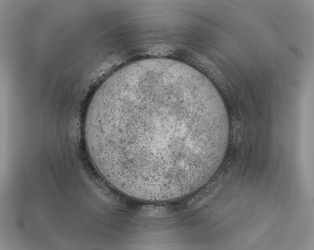 X0000112780354200909101617