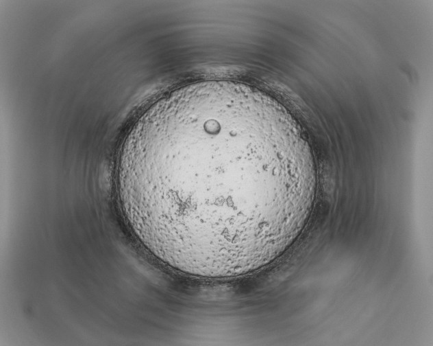 X0000112780357200909101617