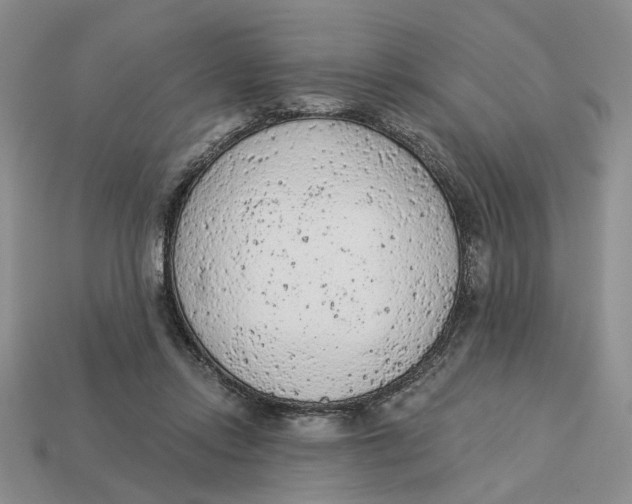 X0000112780358200909101617