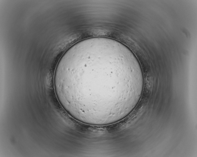 X0000112780359200909101617