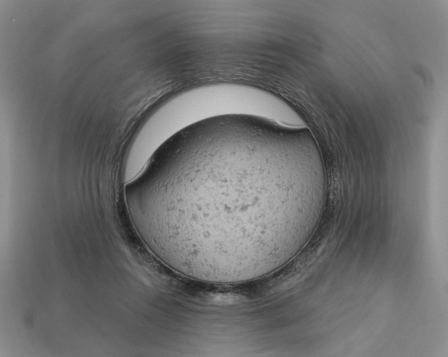 X0000112780360200909101617