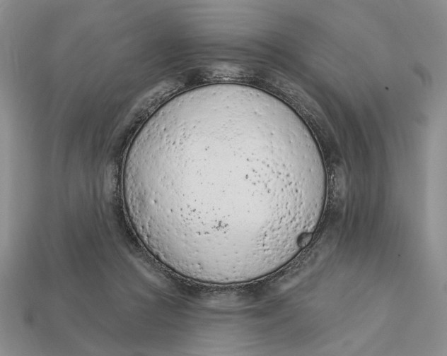 X0000112780361200909101617