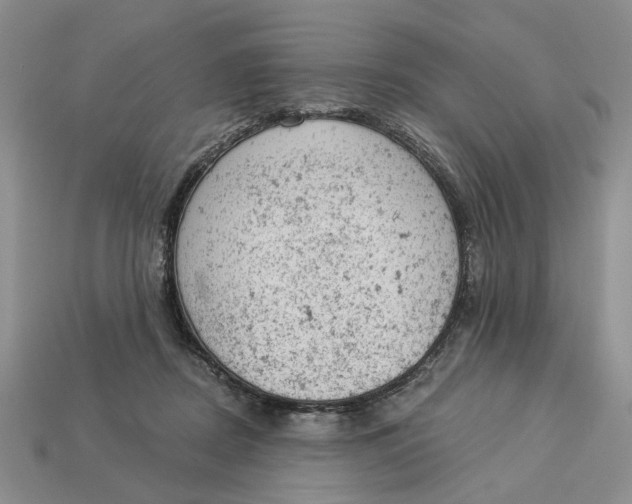 X0000112780362200909101617