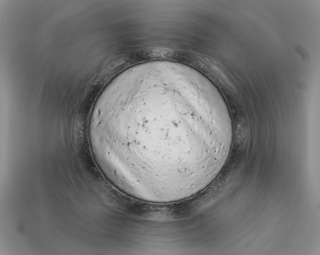 X0000112780363200909101617