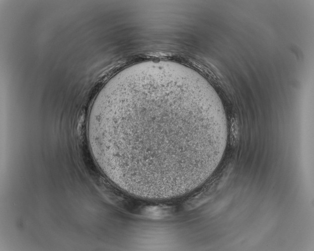 X0000112780364200909101617