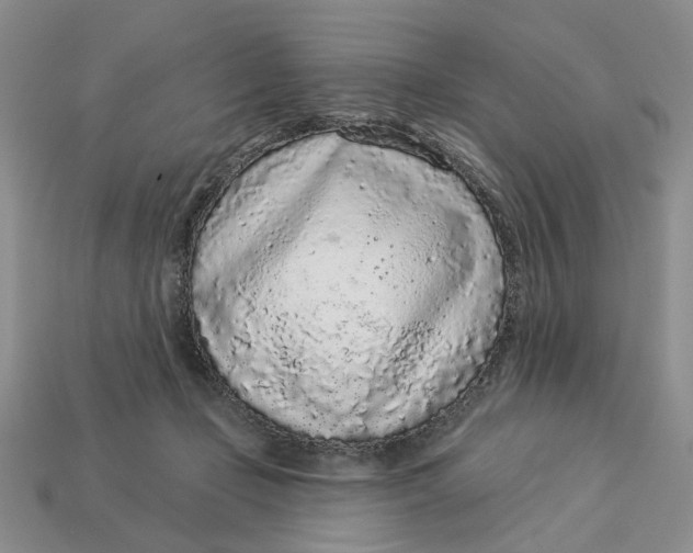 X0000112780365200909101617