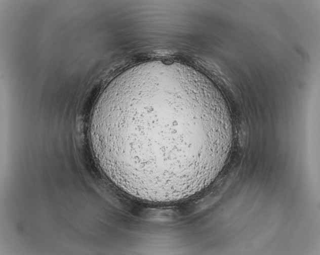 X0000112780366200909101617