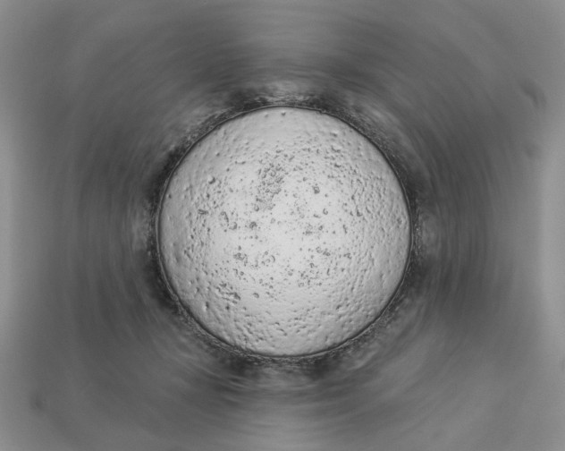 X0000112780367200909101617