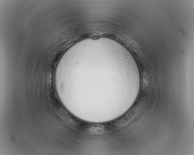 X0000112780369200909101617