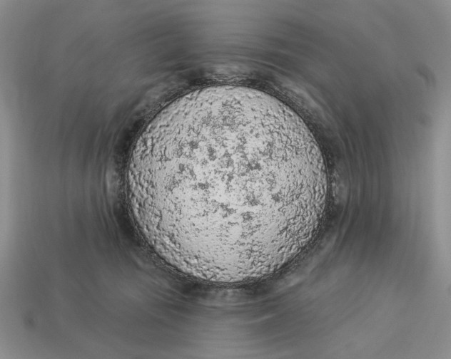 X0000112780371200909101617