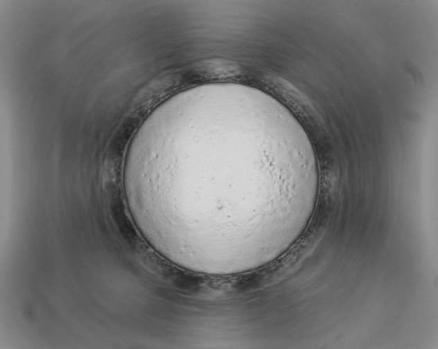 X0000112780373200909101617