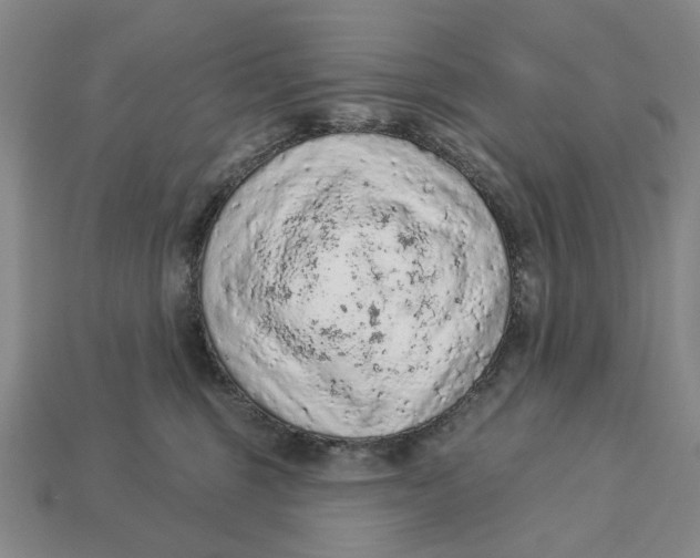 X0000112780375200909101617