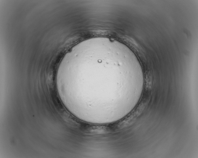 X0000112780377200909101617