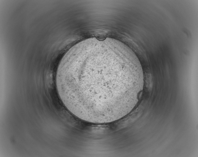 X0000112780378200909101617